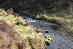 54. Downstream from Lannacombe