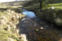 55. Downstream from Lannacombe