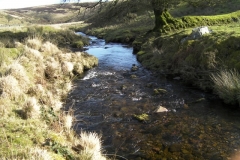 55. Downstream from Lannacombe