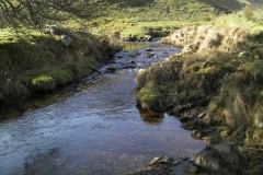 56. Downstream from Lannacombe