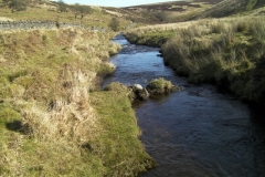 57. Downstream from Lannacombe