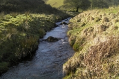 58. Downstream from Lannacombe