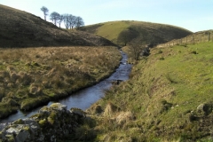 60. Downstream from Lannacombe