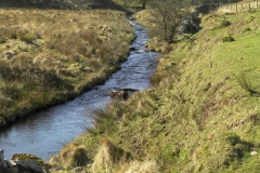 61. Downstream from Lannacombe