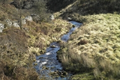 62. Downstream from Lannacombe