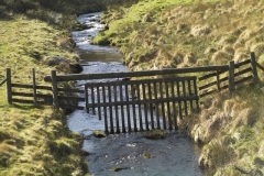 63. Flood debris gate above join with Badgery Water