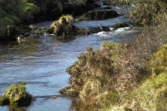 64. Upstream from join with Badgery Water