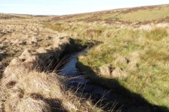 8. Flowing below Hoccombe Hill