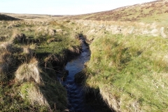 9. Flowing below Hoccombe Hill