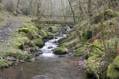 100. Looking upstream to East Water Valley Footbridge