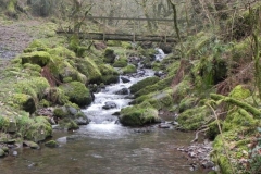 101. Looking upstream to East Water Valley Footbridge