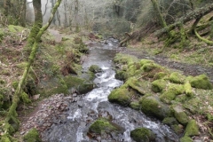 102. Looking downstream from East Water Valley Footbridge