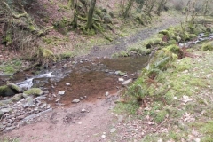 103. East Water Valley Ford