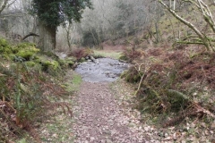 104. East Water Valley Ford