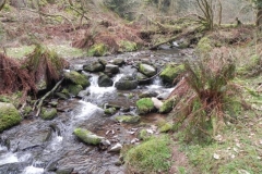106. Flowing through East Water Valley