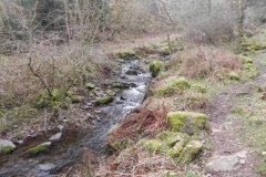 107. Flowing through East Water Valley