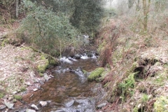 113. Looking downstream from ROW Bridge 3251 East Water Valley