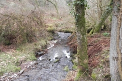 120. Flowing through Parsons Wood