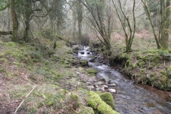 121. Flowing through Parsons Wood