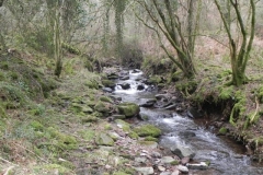 122. Flowing through Parsons Wood