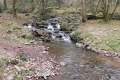 126. Looking upstream from Cabinet Walk Footbridge