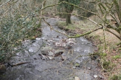 129. Looking downstream from Cabinet Walk Footbridge