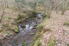 131. Upstream from confluence with Horner Water