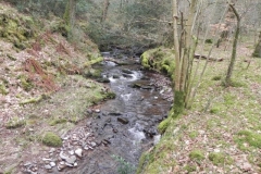 132. Upstream from confluence with Horner Water