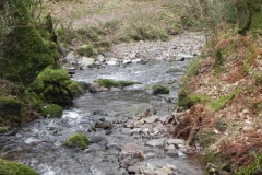 134. Confluence with Horner Water