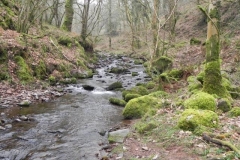 71. Downstream from Hollow Combe
