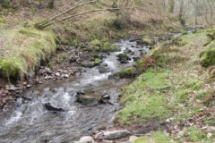 72. Downstream from Hollow Combe