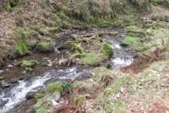 73. Downstream from Hollow Combe