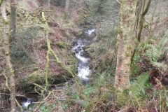 74. Downstream from Hollow Combe