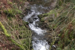 75. Downstream from Hollow Combe
