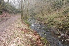 76. Downstream from Hollow Combe