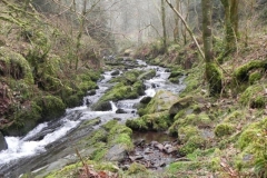 78. Flowing through Sideway Wood