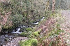 78a. Upstream from Sideway Wood Footbridge A