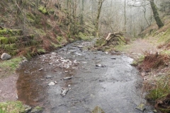 82. Sideway Wood Ford A