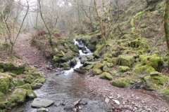 87. Looking upstream from Sideway Wood Footbridge B