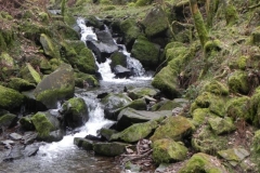 88. Waterfall upstream from Sideway Wood Footbridge B