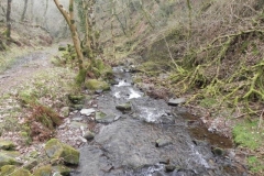 89. Looking downstream from Sideway Wood Footbridge B