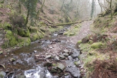 90. Looking upstream from Sideway Wood Footbridge C