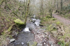 94. Looking downstream from Sideway Wood Footbridge C