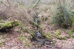 95. Waters join from Red Girt