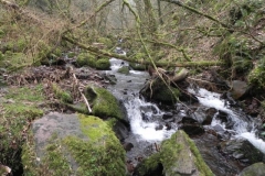 96. Looking upstream from East Water Valley Footbridge