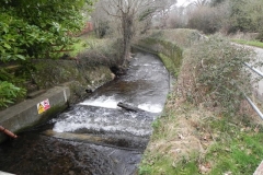 13. Looking downstream from West Luccombe Flow Measuring Station