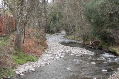 18. Downstream from West Luccombe Flow Measuring Station