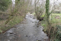 36. Looking upstream from West Luccombe ROW footbridge