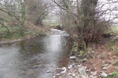 43. Downstream from West Luccombe