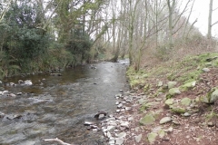 44. Downstream from West Luccombe